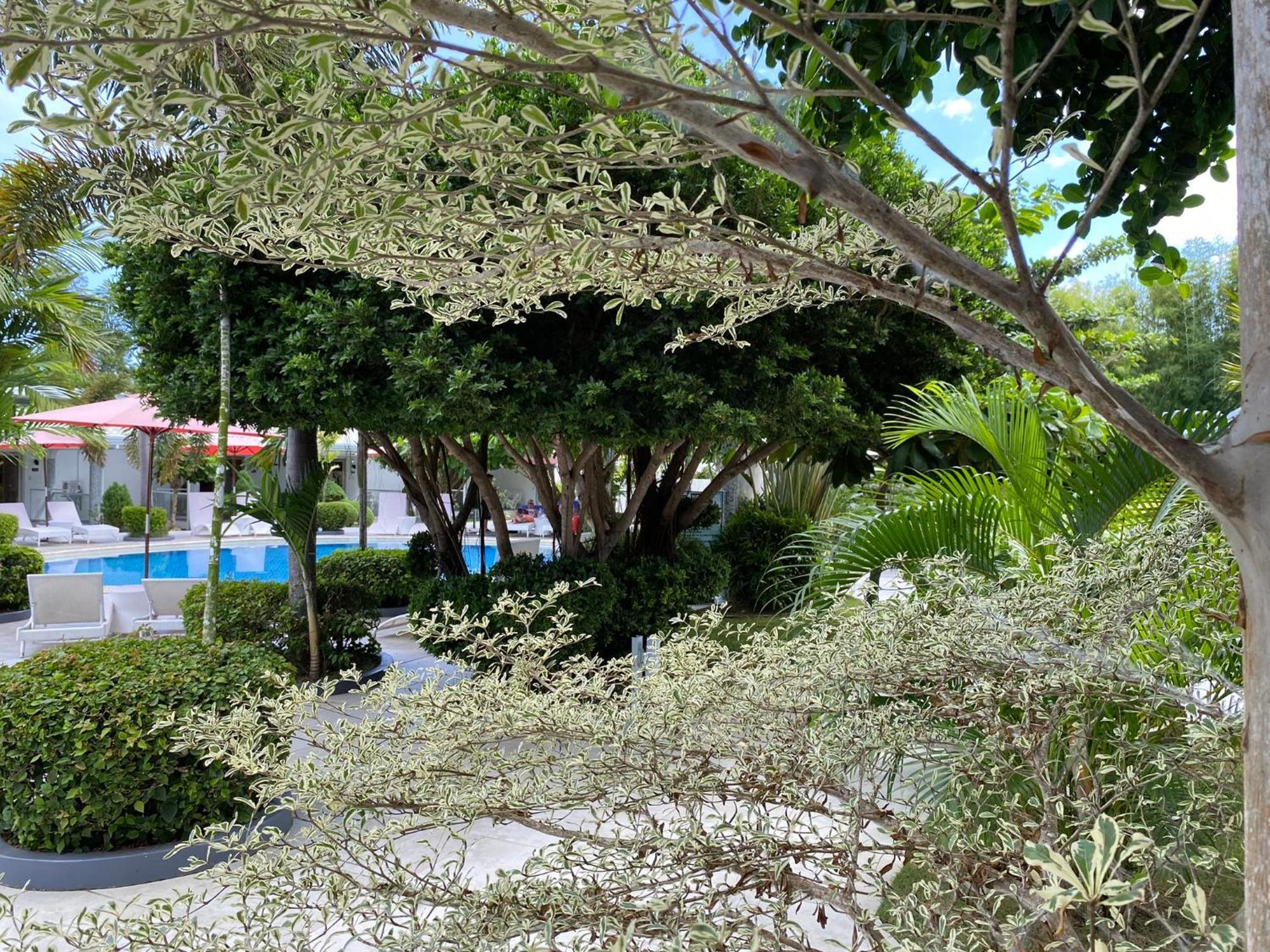 Hotel Marina Point Bay Panglao